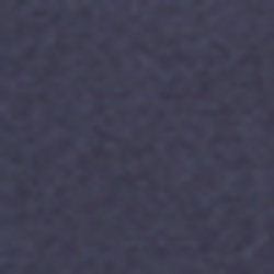 French Navy