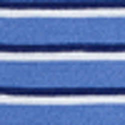 Scottsdale Blue Multi