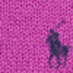 Magenta Rose