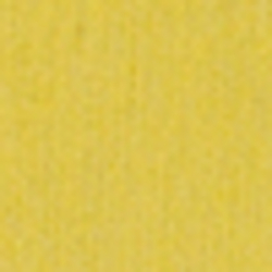 Sunfish Yellow