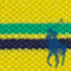 Hampton Yellow Multi