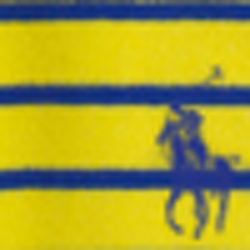 Hampton Yellow Multi