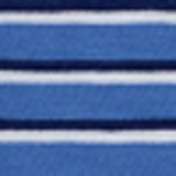 Scottsdale Blue Multi