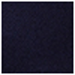 Spring Navy