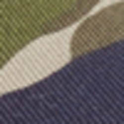 Tiger Stripe