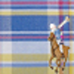 Blue Plaid