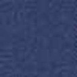Sporting Blue