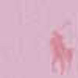 Foster Pink