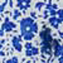 Blue Multi