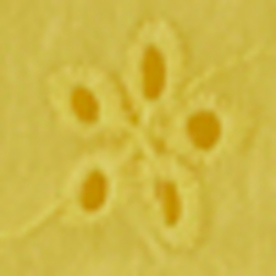 Sunfish Yellow