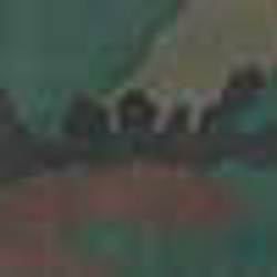 Camo