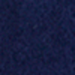 Cruise Navy