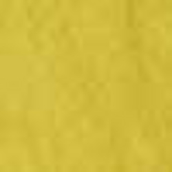 Sunfish Yellow