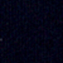 Cruise Navy