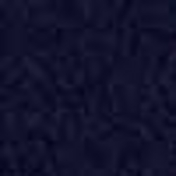 Cruise Navy