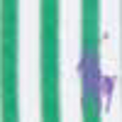 Green Multi