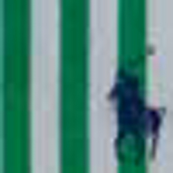 Green Multi