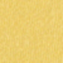 Sunfish Yellow