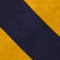 Navy/Gold