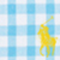 Light Blue Gingham