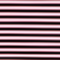 Bermuda Pink/Black