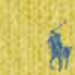 Masters Yellow