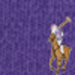 Cove Purple