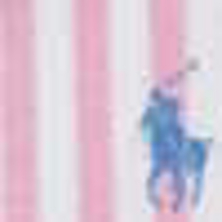 Pink Multi