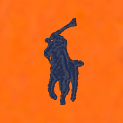 Bright Signal Orange