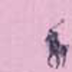 Carmel Pink