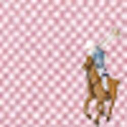 Bsr Pink