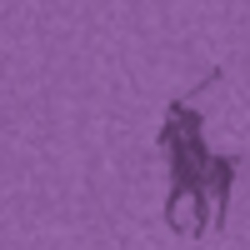 Purple Martin