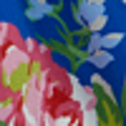 Blue Multi