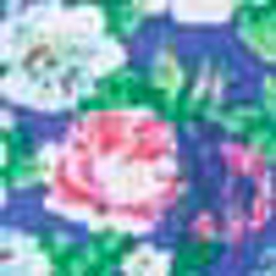 Royal Multi