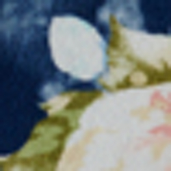 Blue Multi