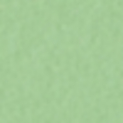 Aruba Lime