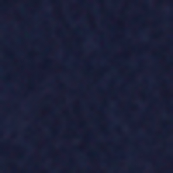 French Navy