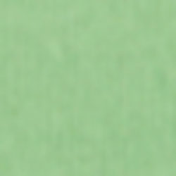 Force Green
