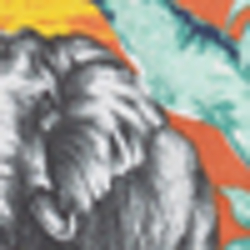 Elephant Tropical