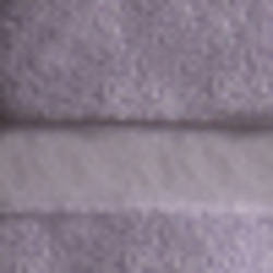 Mayfair Violet