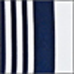 Navy/White