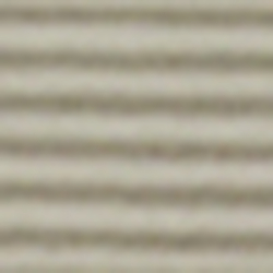 Light Gray / White