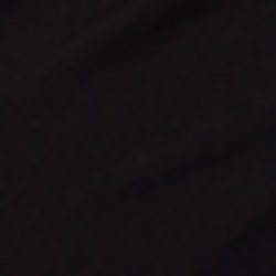 Polo Black