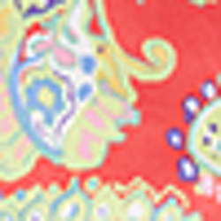 Coral Paisley Print