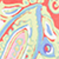 Coral Paisley Print
