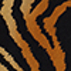 Tiger Print