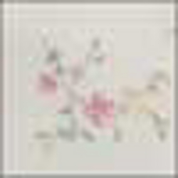 Warm White Multi