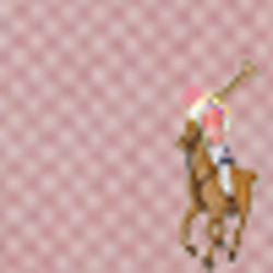 Bsr Pink