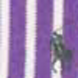 Hot Purple/White