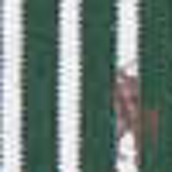 Merion Green/White